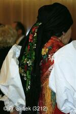 Národní krojový ples