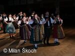Jihočeské folklorní sdružení