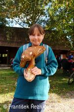 Folklorní festival Slezské dny