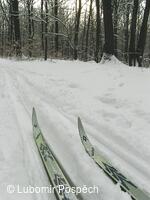 Lyžařský areál Mikulčin vrch