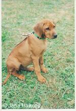 Trnávský sprint 2. ročník 14.-15.10.2006