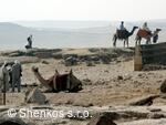 CK Shenkos, Egypt, Giza