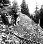 Heřmanovice, Zbytky hradu Quinburk