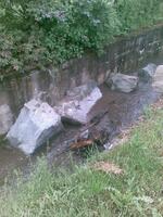 Oprava zdi potoka u bývalé moštárny